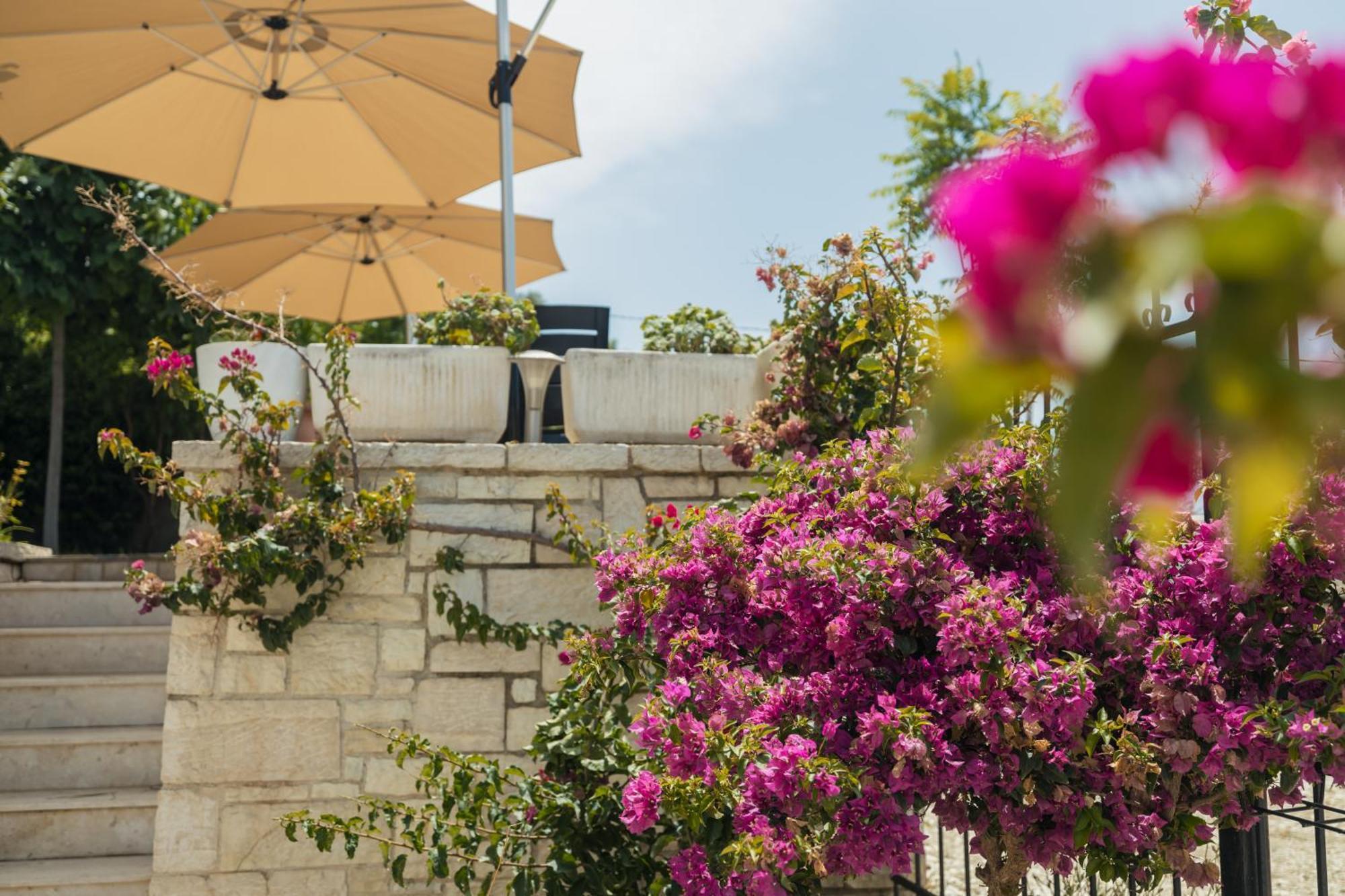 Vlorë Voyage Villa מראה חיצוני תמונה